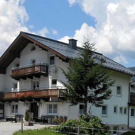 Ferienhaus Dankl Hollersbach im Pinzgau Extérieur photo