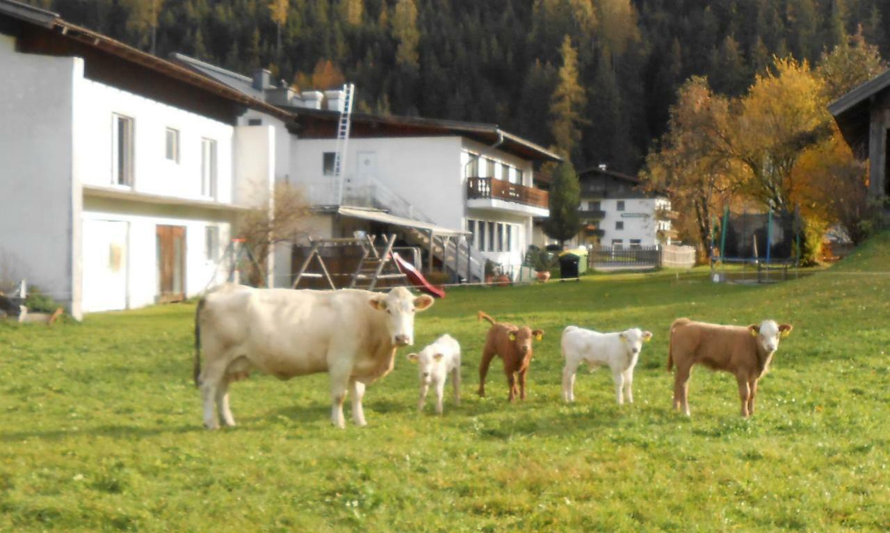 Ferienhaus Dankl Hollersbach im Pinzgau Extérieur photo